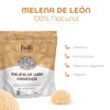 BULK SUPERFOODS - Extracto de Melena de Len Orgnico en