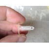 Unbranded/Generic Package of 10 plastic screws 3/4" long by 1/4"