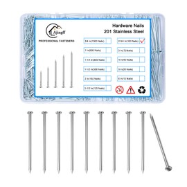 100PCS Galvanized Steel Hardware Nails Storage Box, 2-3/4Inch Flat Head Nails for Hanging Pictures and Woodworking, Picture Hanging Nails, Long Nails, Wall Nails, Wood Nails, Finishing Nails