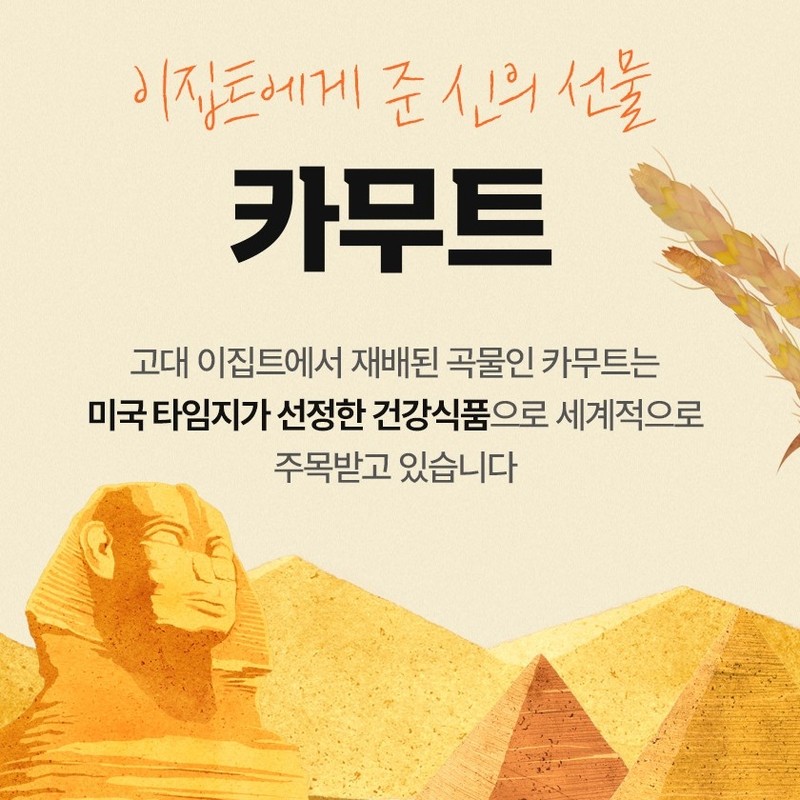 Kim So-hyung Wonbang Kamut Enzyme Kamut Kamud Khorasan Wheat Grain