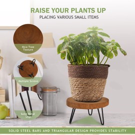 Athaliah Wood Plant Stand, Mini Mid Riser Stand Decor 2 Pack Wooden Plant Stool Indoor (Brown)