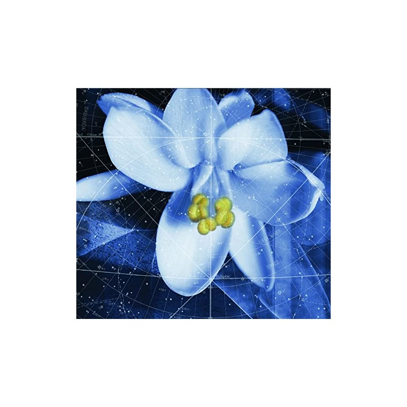 Comfort Zone 24 Hour Kit - Christmas Edition