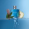 Voyage Eau De Toilette for Men - Fresh Romantic Woody