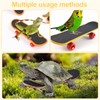 Mini Tortoise Skateboard for Small Pets - Fun Turtle Skateboard