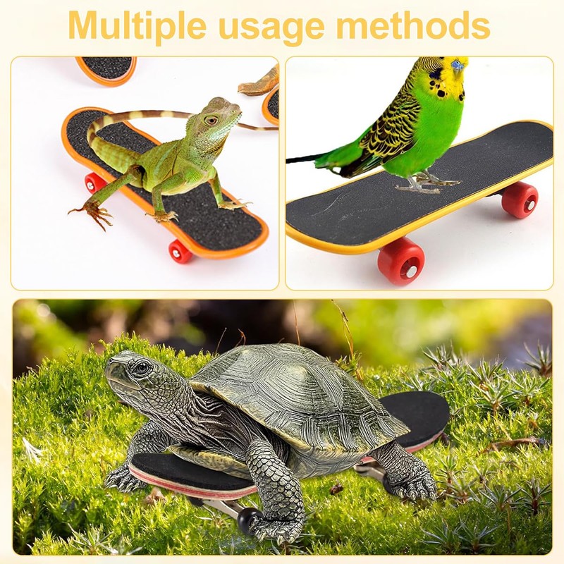 Mini Tortoise Skateboard for Small Pets - Fun Turtle Skateboard