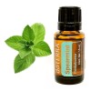 Doterra Aceite Esencial De Hierbabuena Doterra Nuevo De 15 Mililitro
