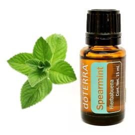 Doterra Aceite Esencial De Hierbabuena Doterra Nuevo De 15 Mililitro
