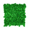 GJS Moss Picture - Moss Mat/Moss Sheet (25 x 25