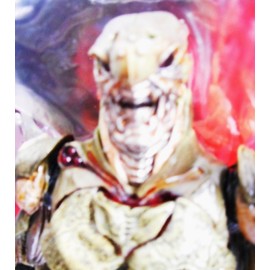 S.I.C. VOL.26 Kamen Rider ZO & Dora