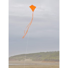 In the Breeze Orange Diamond Kite
