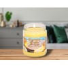 Specialty Pet Products Pet Odor Exterminator Candle, Pineapple & Coconut