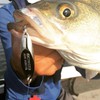 Acme Tackle SW225/CHNG Kastmaster Chrome Neon Green, 1/12 oz.