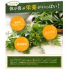 Tea no Daifukuen Wormwood Tea Bag, Mugwort Tea, Domestically Produced,