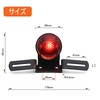E-Mark Certified, DOT Certified, Motorcycle Tail Lamp, Integrated LED, DC