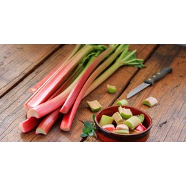 RAISE ME UP: Seeds Rhubarb Victoria Giant Red Stalk Non GMO Heirloom