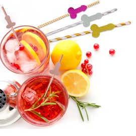 Bachelorette Party Favors Decorations Drinking Girls Funny birthday Paper Straws disposable biodegradable - SILVER STRIPES - set of 20