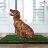 BETHEL Gotta Go Grass -Dog Natural Grass Patch Potty -Real