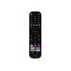 Original Hisense VIDAA Remote Control EN2G30H
