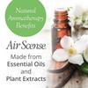 Air Scense Air Freshener Deodorizer Room Spray for Bathroom &