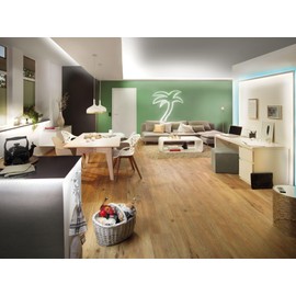 Paulmann LED Stripe, Metal 18 W, Black