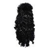 Sdfvsdg Pirate Captain Wigs Long Black Wavy Curly Pirate Costume
