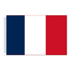 Brick Takeover France Flag - France Flags and Flags - French Flag French Flag - La France
