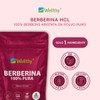 Wellthy Berberina Pura 200 Cápsulas. 100% Berberis Aristata, 500mg c/u,
