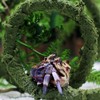 Wenriko Hermit Crab Climbing Toys, Bendable Hermit Crab Climbing Vine,