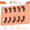 Wispy Eyelashes Fluffy False Eyelash Natural Look Wispy Clear Band