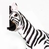 Safari Plains Zebra