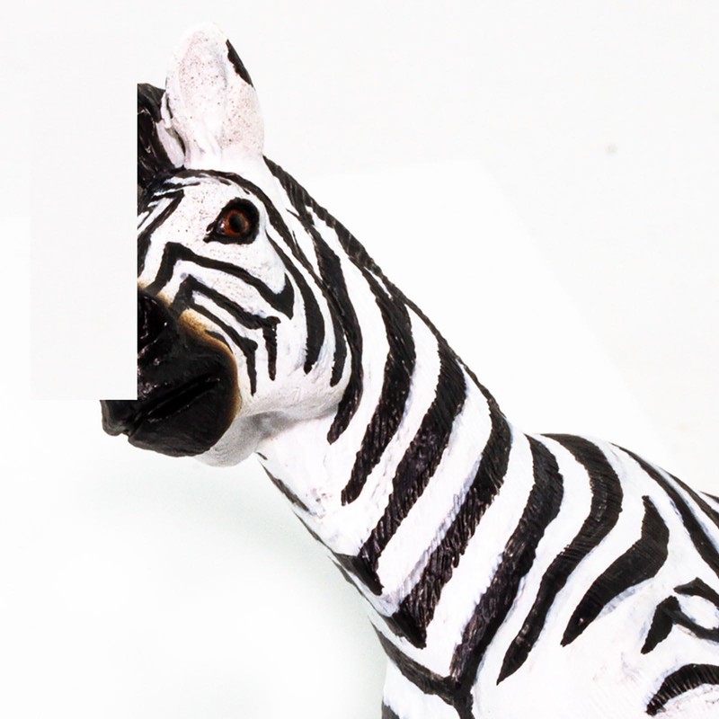 Safari Plains Zebra