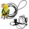 Adjustable Birds Harness and Harness Leash Training Supplies Pet Anti-bite