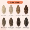 SEIKEA 24" Highlight Ponytail Extension Claw, PT002 Tia Long Multi