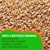 Organic Cat Grass | Non GMO Mixed Heirloom Seeds |