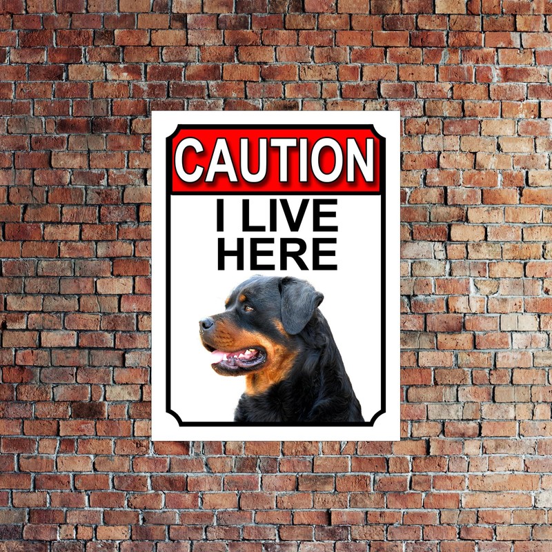 Shawprint CAUTION I LIVE HERE METAL GATE SIGN ROTTWEILER THEME