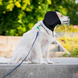 Safe Dogs Ears - Orejeras con cancelación de ruido para perros – Auriculares de protección auditiva para fuegos artificiales, truenos y ruidos fuertes – Ajuste cómodo para todas las razas – Insertos