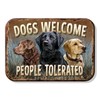 Desperate Enterprises Dogs Welcome Refrigerator Magnet