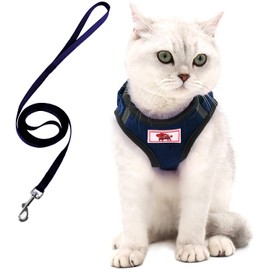 NERVOUS (Give Me Space) Yellow Colour Coded Non Pull L-XL Dog Harness PREVENTS Accidents By Warning Others Of Your Dog In Advance