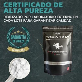 ALEVIA Creatina Monohidratada Micronizada Premium 450g  90 Porciones de 5g  Suplemento Pre Workout y Post Entreno  Creatina Pura en Polvo Sin Sabor