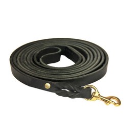 Dean and Tyler Braided Track Dog Leash with Solid Brass Hardware and Handle, 26-Feet by 3/4-Inch, Black