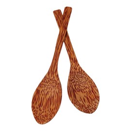 Vie Gourmet Premium Sealed Coconut Bowls and Spoons, Set of 2