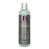 DESIGN Peppermint & Aloe Soothing Scalp Care Shampoo ( 12oz