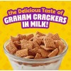 General Mills 〽️ New Exclusive Golden Grahams Breakfast Cracker Whole