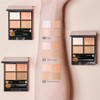 Kose COSME DECORTE Tone Perfecting Palette 0.2 oz (5 g)