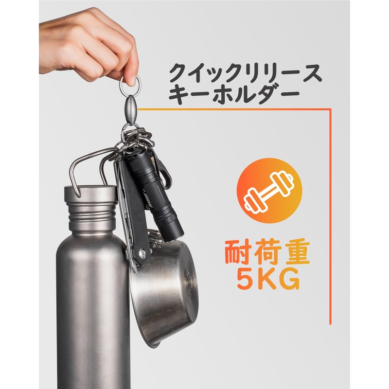 TISUR Key Holder, Breakaway Type, Quick Release, Carabiner, Detachable Key