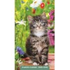 Kittens: 2025-2026 28-Month Inspirational Pocket Planner