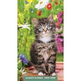 Kittens: 2025-2026 28-Month Inspirational Pocket Planner