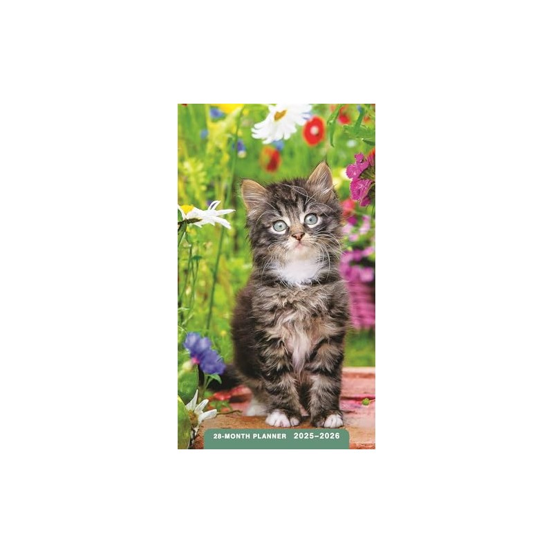 Kittens: 2025-2026 28-Month Inspirational Pocket Planner