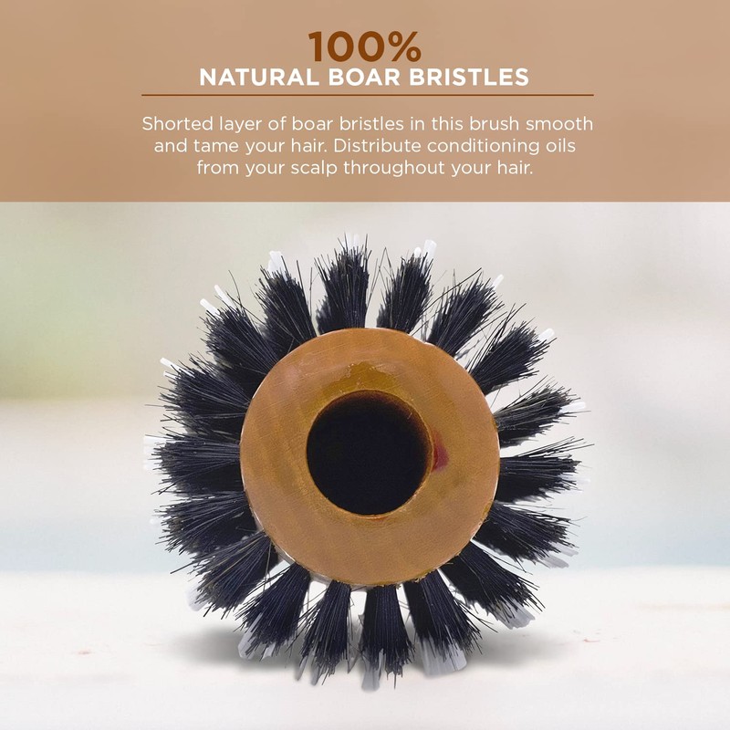 Spornette Boar Bristle Hair Brush for Women - Porcupine 2.75