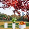 BOUTICOL 10 Pcs Winter Rose Collar - Warm Rose Cones